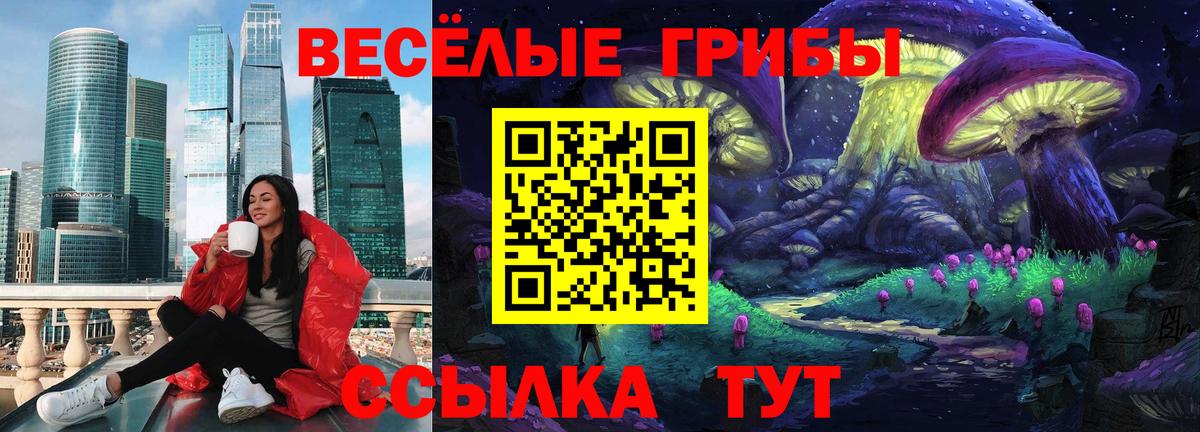 Псилоцибиновые грибы Magic Shrooms  Вход с VPN  Галлюциногенные грибы Psilocybine cubensis  Алапаевск 
